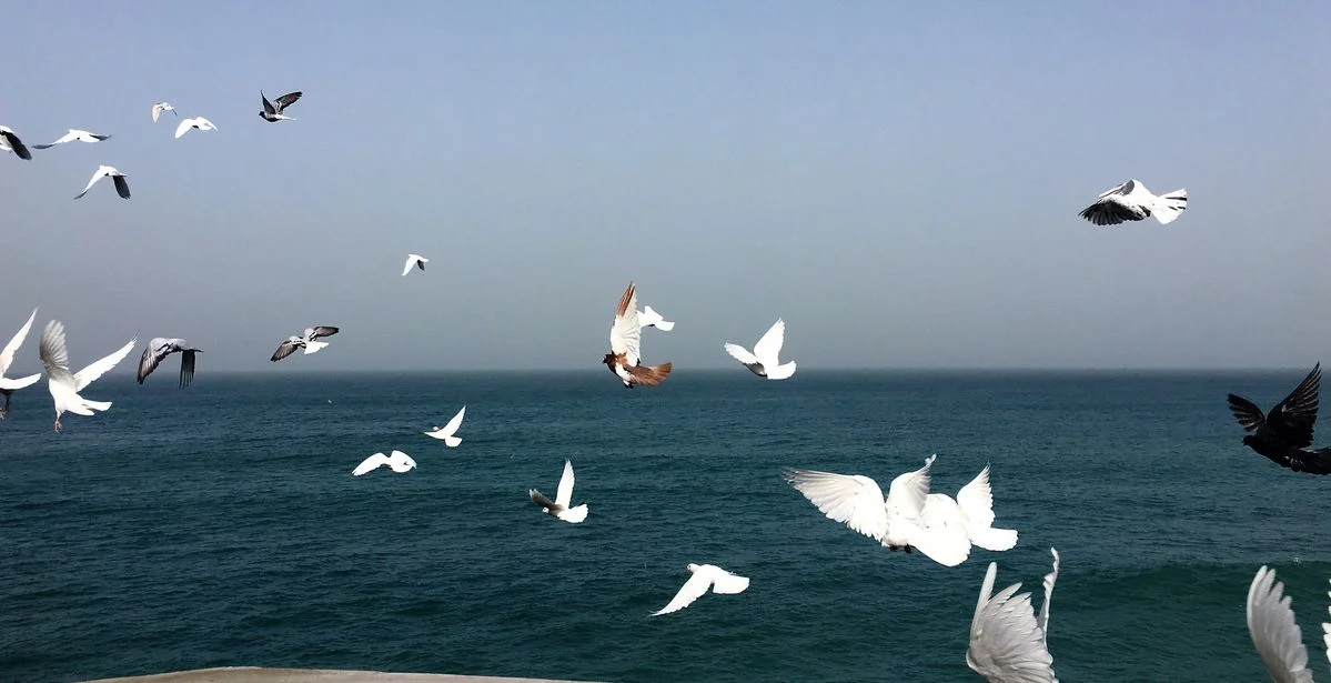 test_banner_profile